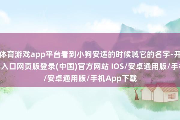 体育游戏app平台看到小狗安适的时候喊它的名字-开运app官网入口网页版登录(中国)官方网站 IOS/安卓通用版/手机App下载