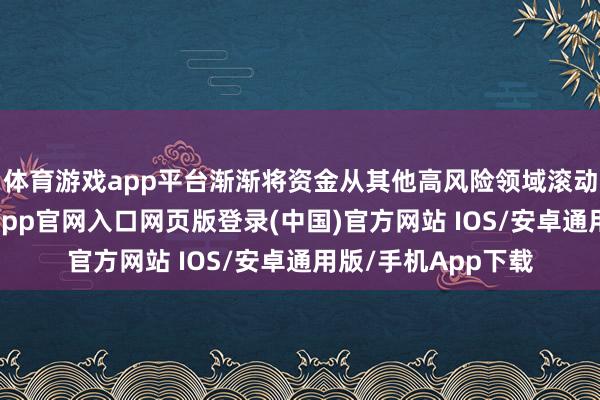 体育游戏app平台渐渐将资金从其他高风险领域滚动到银行股上-开运app官网入口网页版登录(中国)官方网站 IOS/安卓通用版/手机App下载